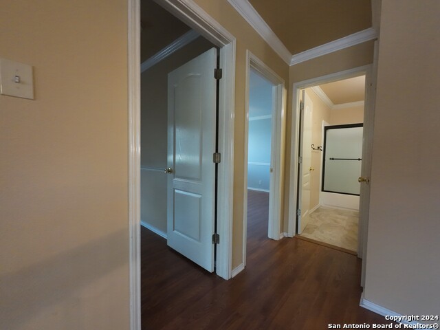 9723 Dahlia Property Photo 32