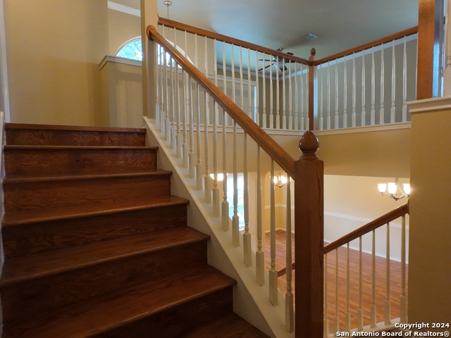 9723 Dahlia Property Photo 37