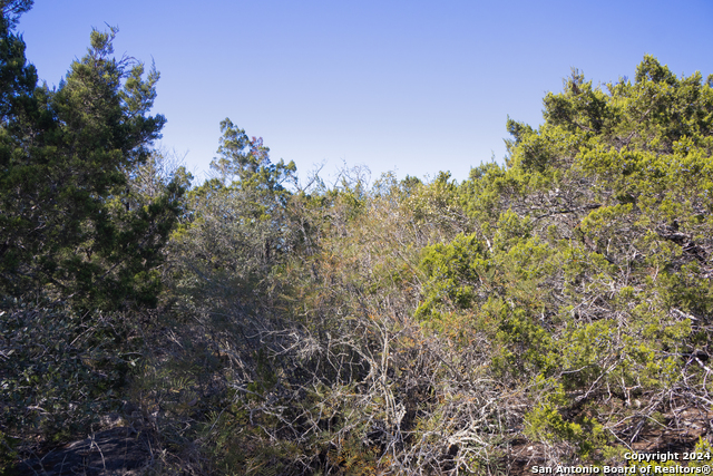 Lot 26 Leona Ranch Property Photo 6