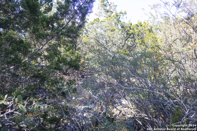 Lot 26 Leona Ranch Property Photo 7