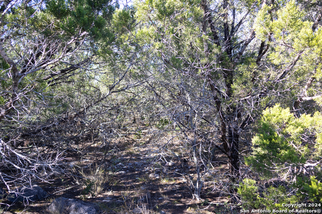 Lot 26 Leona Ranch Property Photo 8