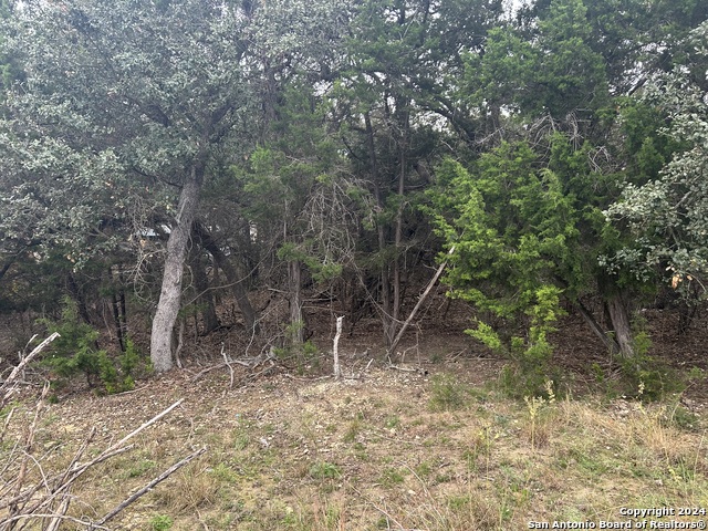 Lot 11 Tejas Property Photo 2