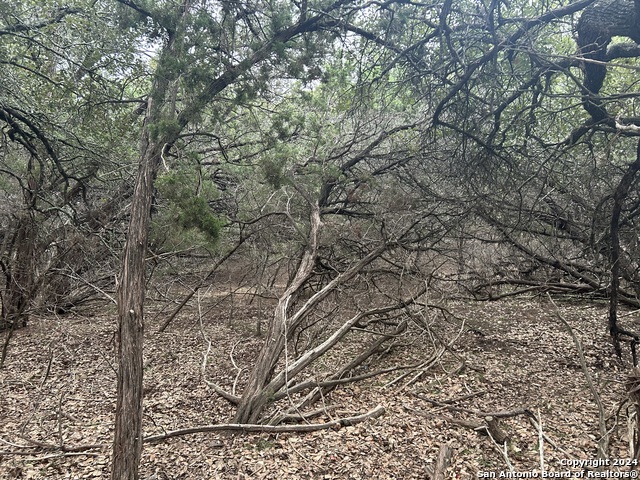 Lot 11 Tejas Property Photo 3