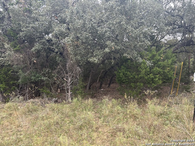 Lot 11 Tejas Property Photo 4