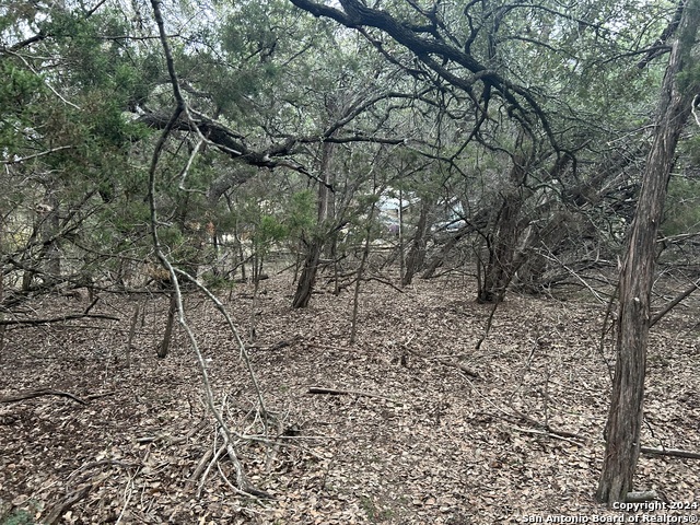Lot 11 Tejas Property Photo 5