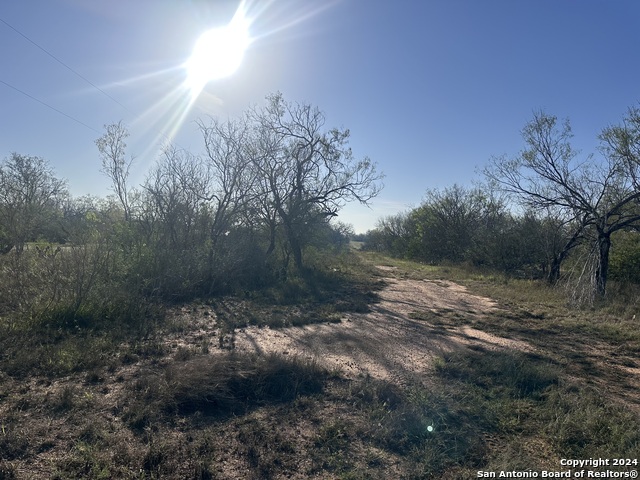 5870 County Road 405 Property Photo 1