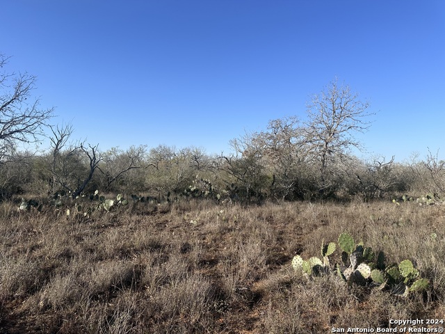 5870 County Road 405 Property Photo 2