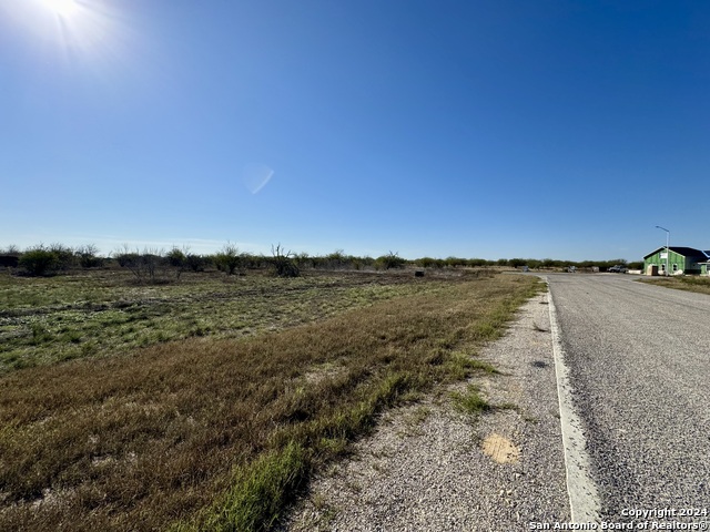125 Wild Persimmon Trail Property Photo 3