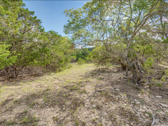 259 Forest Ridge Property Photo 12