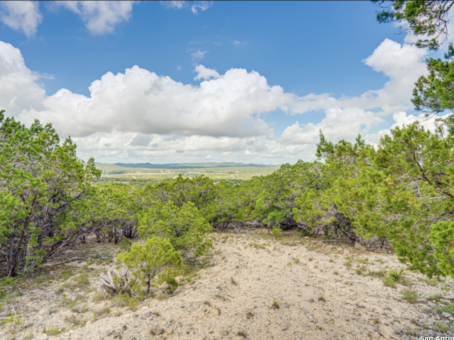 259 Forest Ridge Property Photo 15