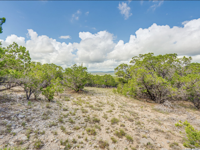 259 Forest Ridge Property Photo 16