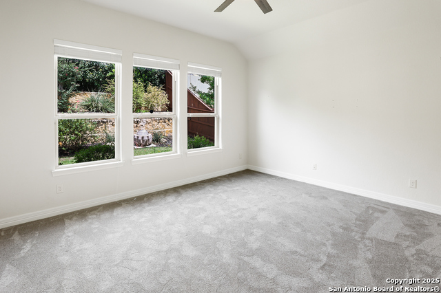 2031 Buckner Pass Property Photo 31