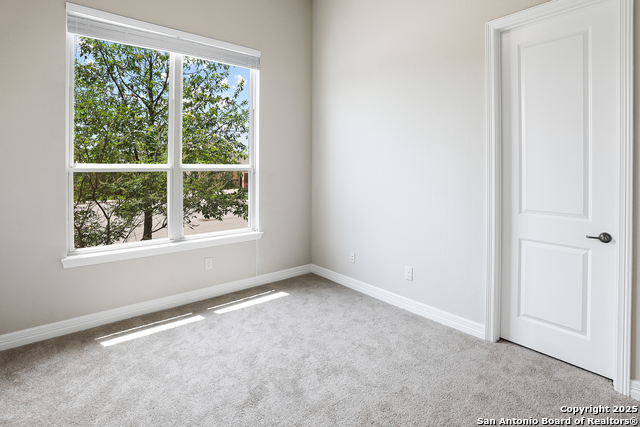 2031 Buckner Pass Property Photo 35