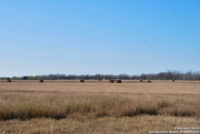 Tbd Fm 463 Property Photo 20