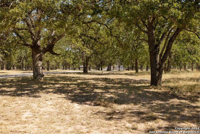 497 Klaerner Rd Property Photo 22