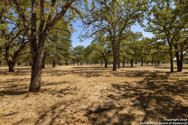 497 Klaerner Rd Property Photo 27