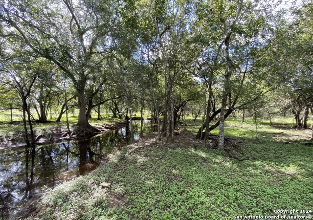 245 Buttercup Ln Property Photo 3