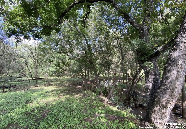 245 Buttercup Ln Property Photo 11
