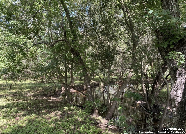 245 Buttercup Ln Property Photo 12