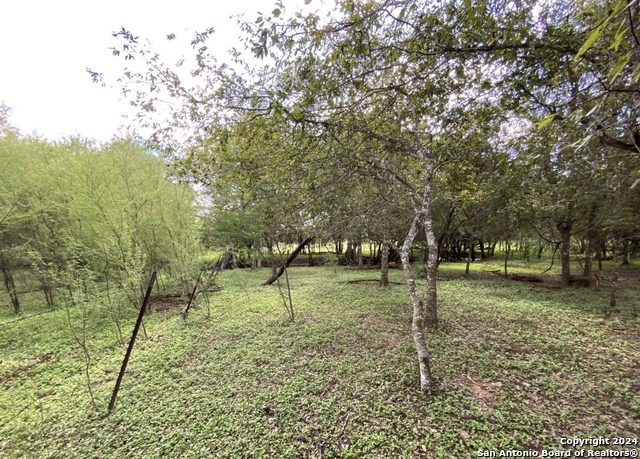245 Buttercup Ln Property Photo 13