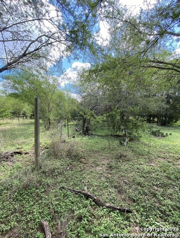 245 Buttercup Ln Property Photo 14