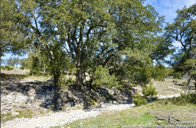 1249 Lester Ln. Property Photo 2