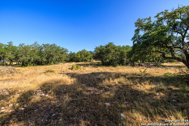 1249 Lester Ln. Property Photo 6