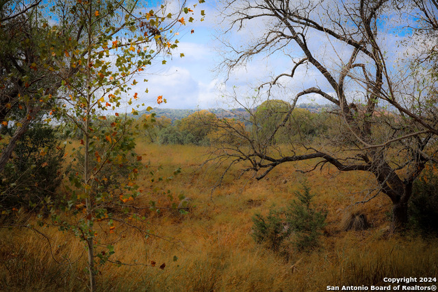 85 Waring Welfare Property Photo 14