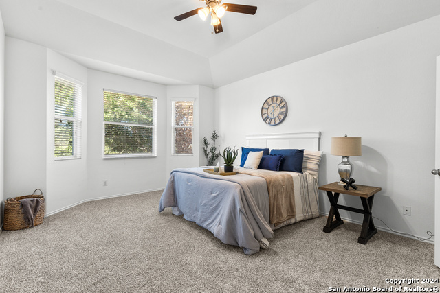 6511 Diego Ln Property Photo 8