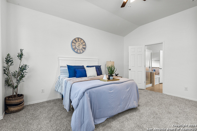 6511 Diego Ln Property Photo 9