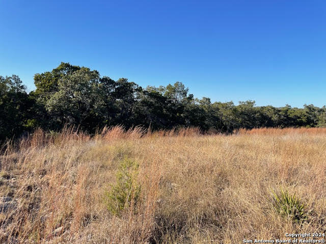580 (lot 1930) Mystic Pkwy Property Photo 8