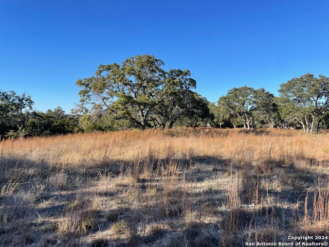 580 (lot 1930) Mystic Pkwy Property Photo 10