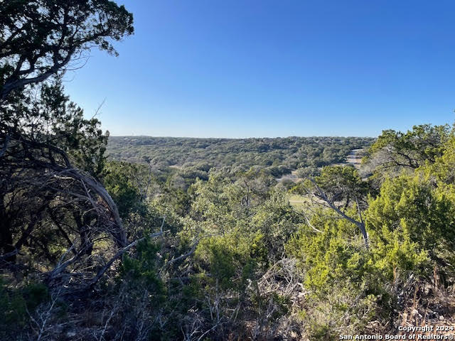 580 (lot 1930) Mystic Pkwy Property Photo 14