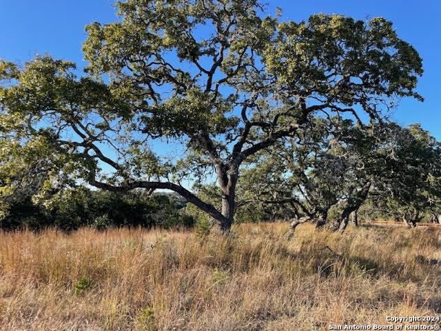 580 (lot 1930) Mystic Pkwy Property Photo 26