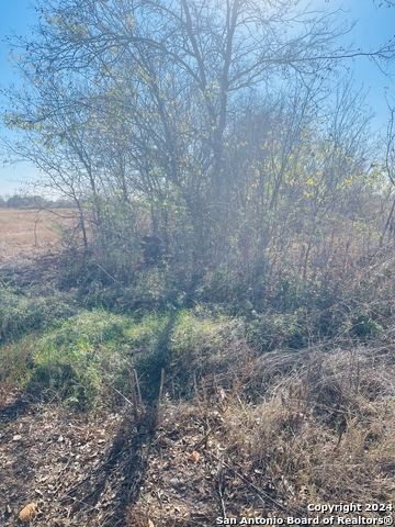 Tbd Cr 7713 Property Photo 7