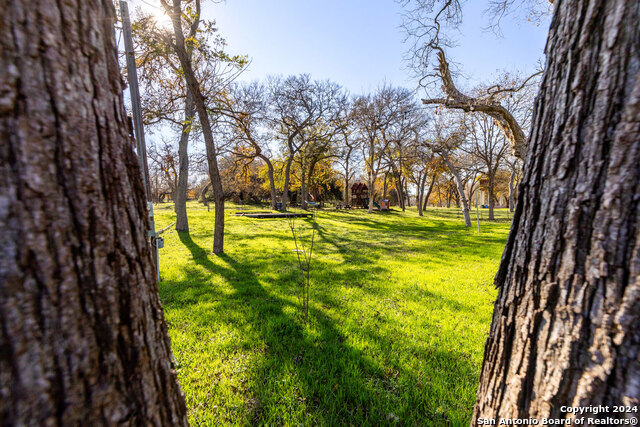 340 Deer Slayer Property Photo 8