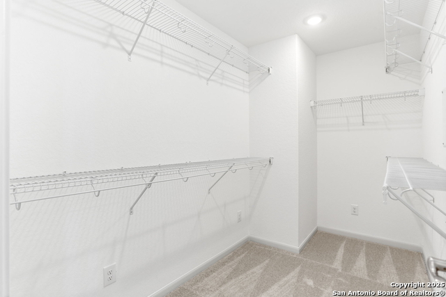 3606 Palmwood Terrace Property Photo 19