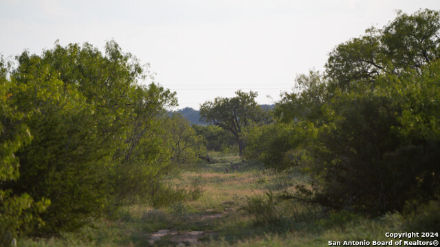 000 Leal Road Property Photo 8