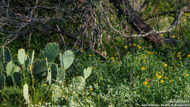 000 Leal Road Property Photo 3