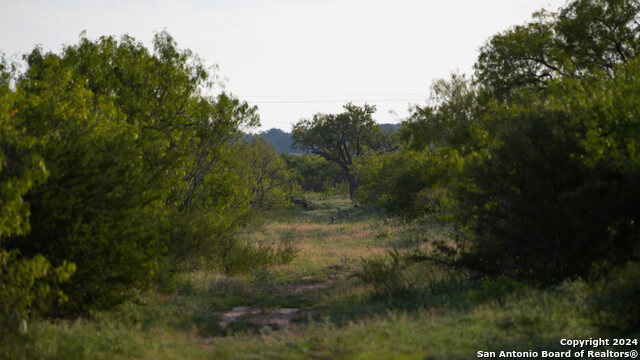 000 Leal Road Property Photo 9