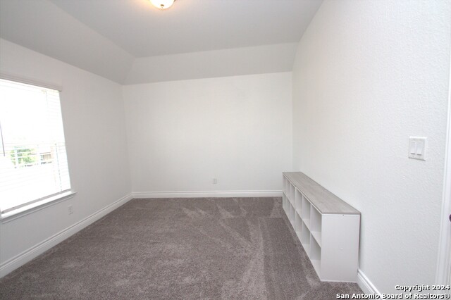 12314 Bianca Mill Way Property Photo 27