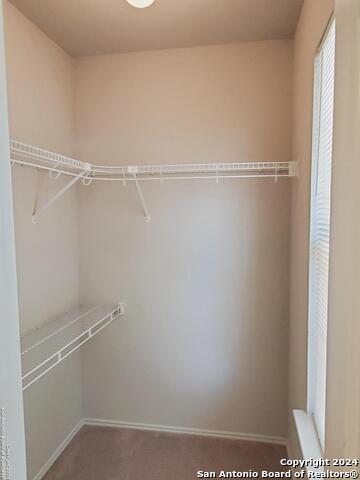 4106 Camfield Property Photo 14