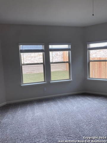 1410 Arcadian Lily Property Photo 3