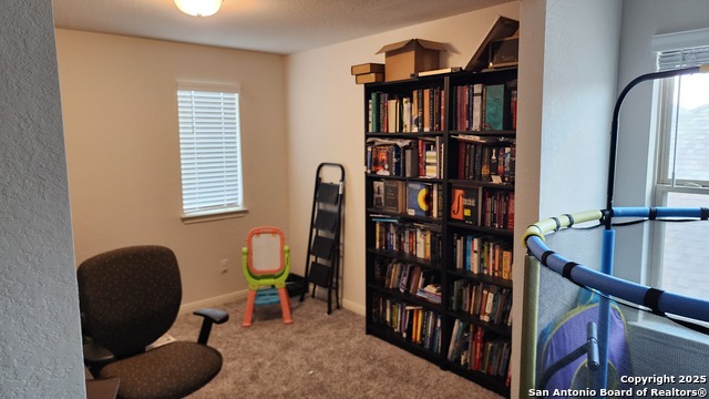1410 Arcadian Lily Property Photo 8