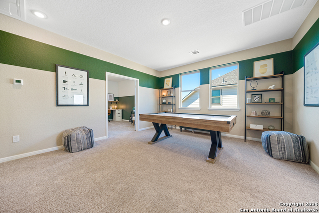 4715 Island Hollow Property Photo 21