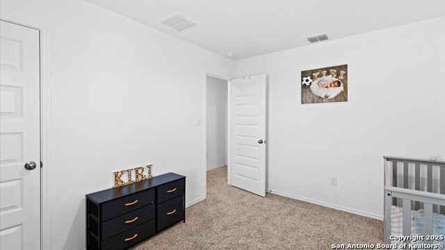 4202 Admirals Bend Property Photo 21