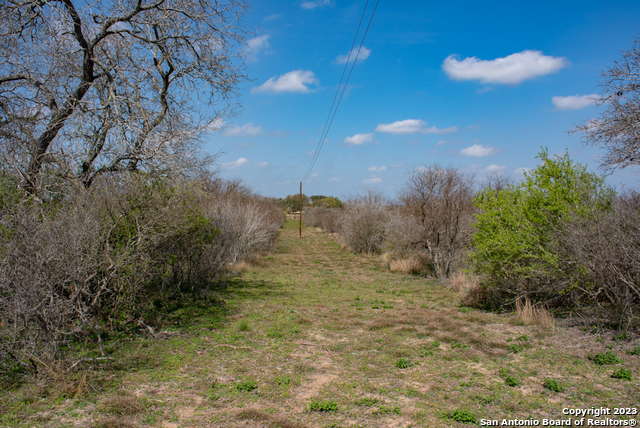 750 County Road 159 Property Photo 6