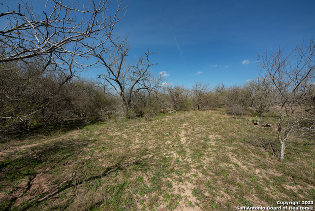 750 County Road 159 Property Photo 23
