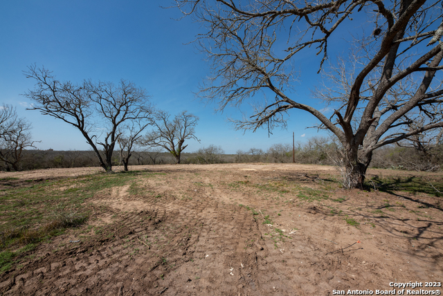 750 County Road 159 Property Photo 28
