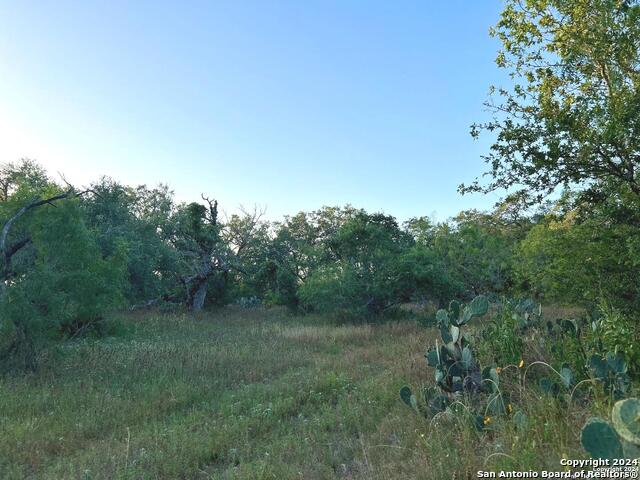 TBD Bruce Rd. Property Photo 1